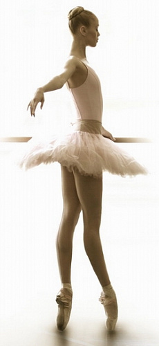 �������� �� ������� ����� ����������� �������� ��������-2010�