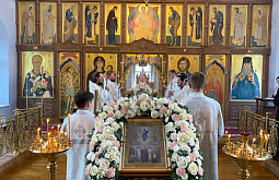 ������������ ������� �������� ���������� ��������