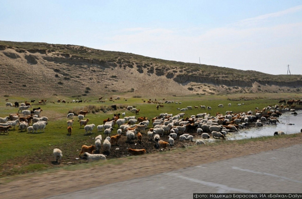 ������ ������� �������� �����, ������� ����������� ����� �������� ������ 