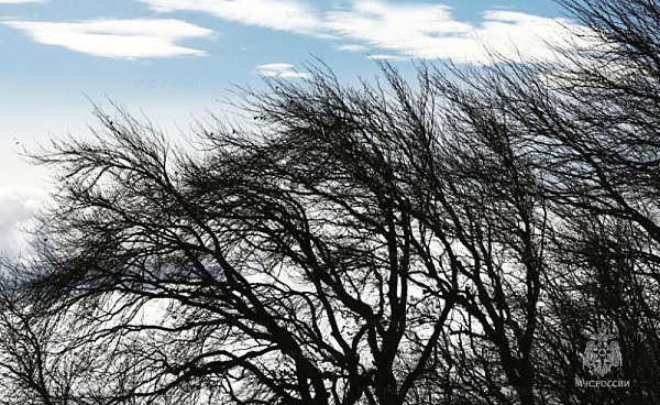 ����� � �������� �������� � ���������� ������