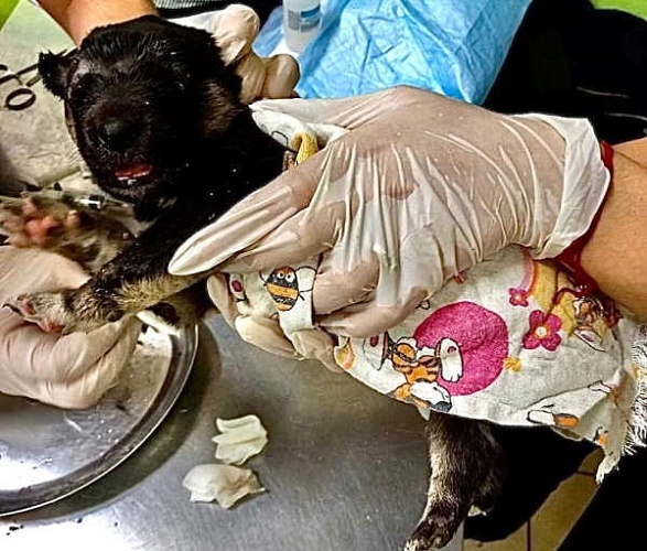 � ����-��� ������� ������, ���������� ����� �������