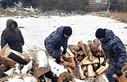 ������������ ������� ������������ ��������������� �������� � �������