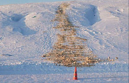 � ��������� ������� ��� ������� ����������, ������� � �����