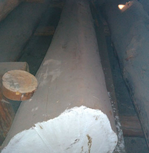В Бурятии проверили древесину для 21-метрового Будды 