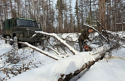 В заказнике в Забайкалье дорогу до кордона завалило снегом и обгоревшими деревьями