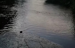 ����� ������� ������� �������� 200 ��� �� �������� ������ 