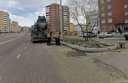 � ����-��� ������ ������������� ������ � 113 ���