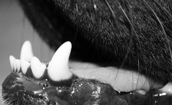 ���������� ������ �������� ���������� � ������� 