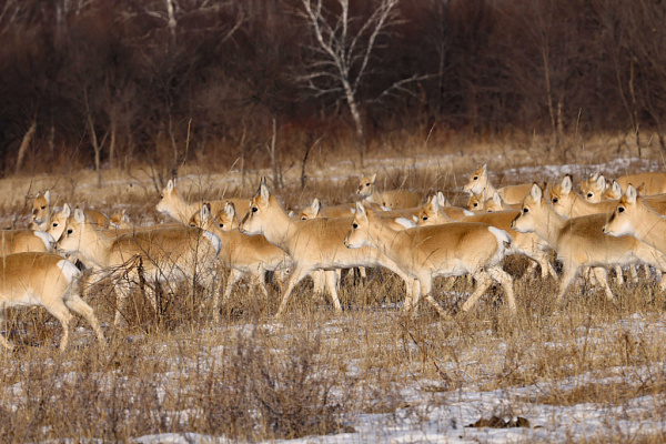 � ���������� �������� �������� ��������