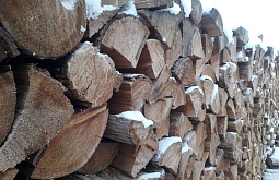 � ��������� ������� ������� ������� ���� �� ���������