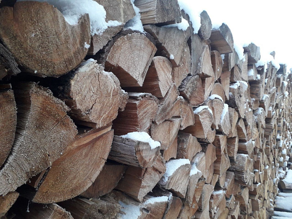 � ��������� ������� ������� ������� ���� �� ���������