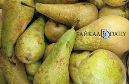 ������� ������� ��������� � ������ ���� 