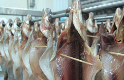 ��� ����� �� ������� �������� ��������� � �������� �������