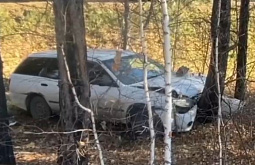 ��� ��������� �������� Nissan �����, ���������� � ������