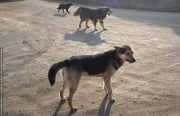 � ��������� � ������� ���������� ������� ��������� �� ������������� ������� ����