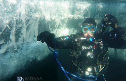 � ������� �������� ����������� ���� ����� �������. ������������