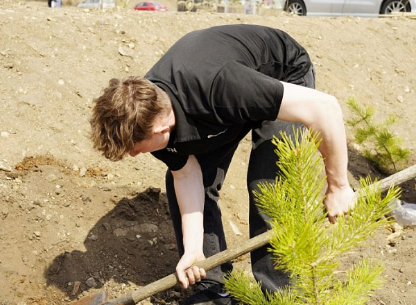 � ����-��� ���� ���������� �������� ������� � �������� ������������