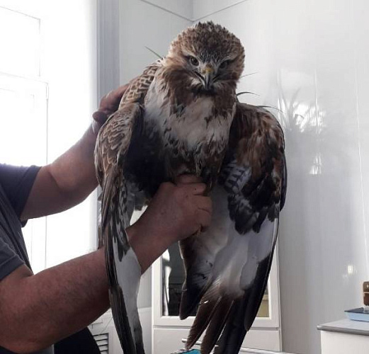 ������ ���������� ���� ������� � ����������� ������ 