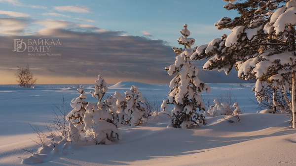 � ������� ����� ��������� ���������� �� -42