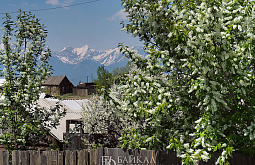 � ����-��� �������� ������ ����