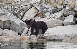 ������� ���������������� ��������� ����� ��������� ���� �� 3 ��� 