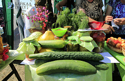 � ������� ������ ��������� ��������� (������������)