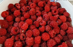 � ������� ��������������� ��������� � �������� ��������� ������ 