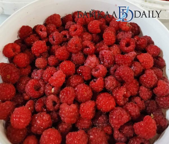 � ������� ��������������� ��������� � �������� ��������� ������ 