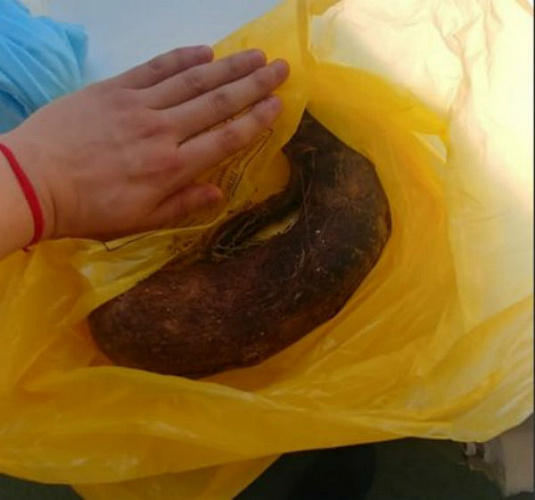 �� ������� ����-������ �������� 2 �� ����� 