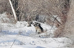 � ������������ ����-��� ������ ������������ ��������