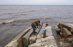 ������� ������� 14 ���������� ������ �� ��������