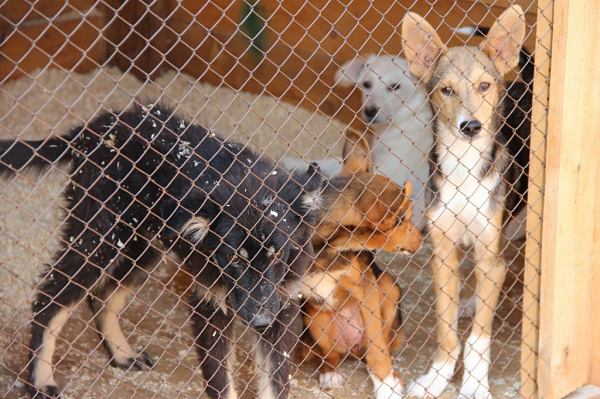 ���������� �������� �� ������ ��������� ����� � ������� ������� 