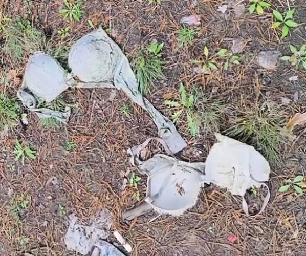 Известный режиссёр из Бурятии при сборе грибов внезапно набрёл на полянку с лифчиками