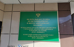 � ������� � ������ ������� ������� ����������� ������