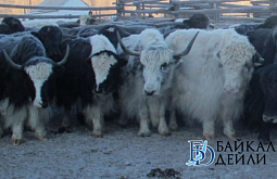 ����� ���������� ��������� ��������� � ��������� ������� ��������� ��������� �� ��� �����