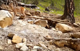 � �������� ������� ���������� �� ������������ ������ 