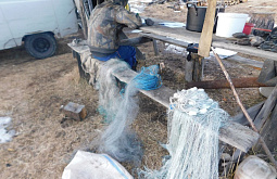 � ���������� ��������� ��� ����������