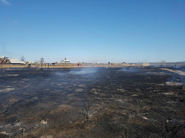 � ����-��� ��-�� ���� ����� ���� �� ������� ���� 