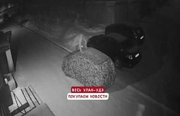 � ����-��� ���� ������, �������� ����� ������ 