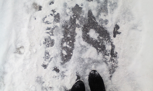 В Улан-Удэ на берегу реки нашли гранату