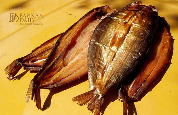 ����-������ ������� �� ������� ����� 