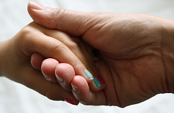 ��������� ������ ������� ����������� �������� ����� ������ �����