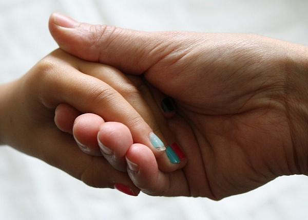 ��������� ������ ������� ����������� �������� ����� ������ �����