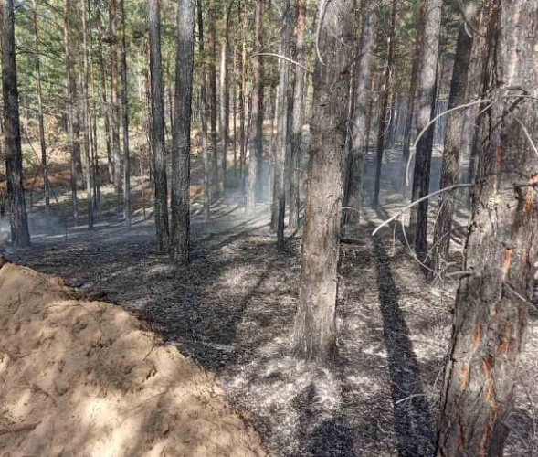 � ������� ����� ������� ������ �����