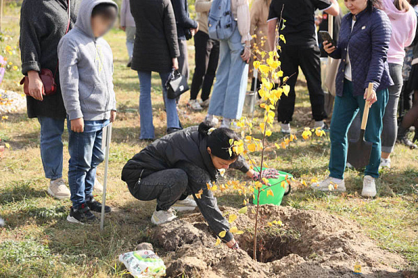 В Улан-Удэ высадили именные берёзы в память о погибших