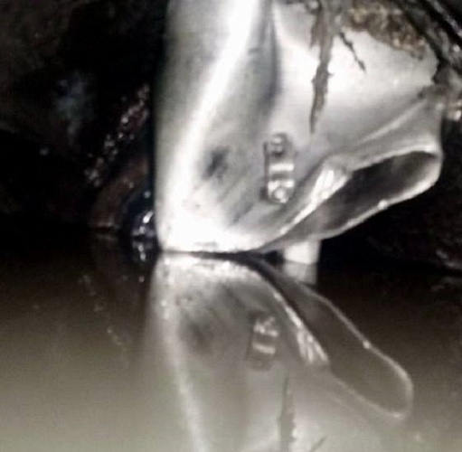 � ����������� � ����-��� ���������� ������� ������