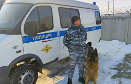 � ���� ����������� ������ ������� �������� �����