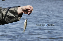 � ������� ���� ����� ���� ������� 