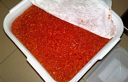 � �������� �������� ������� �� ����� ���� ������� ������� �������� 