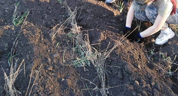 � ������� ���� �������� �����